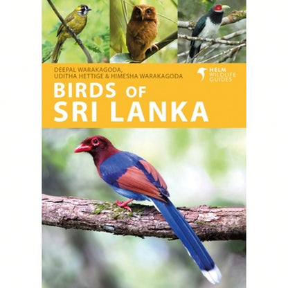 Pre-Owned Birds Of Sri Lanka (Paperback) By Deepal Warakagoda, Uditha Hettige, Himesha Warakagoda