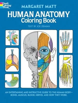 Pre-Owned Human Anatomy Coloring Book (Paperback) By Margaret Matt, Joe Ziemian