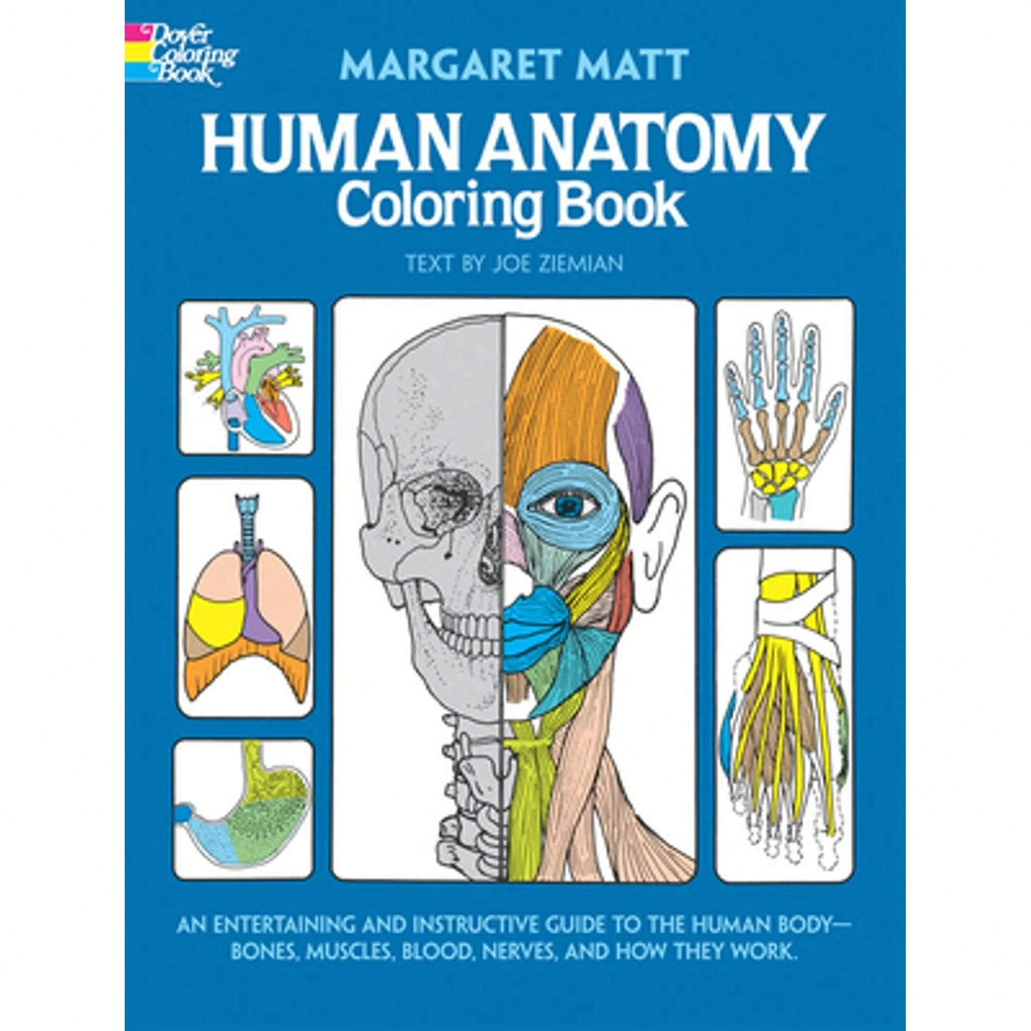 Pre-Owned Human Anatomy Coloring Book (Paperback) By Margaret Matt, Joe Ziemian