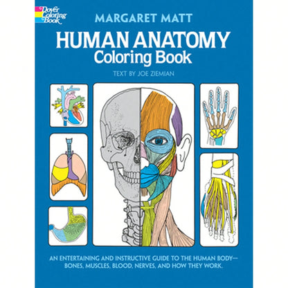 Pre-Owned Human Anatomy Coloring Book (Paperback) By Margaret Matt, Joe Ziemian