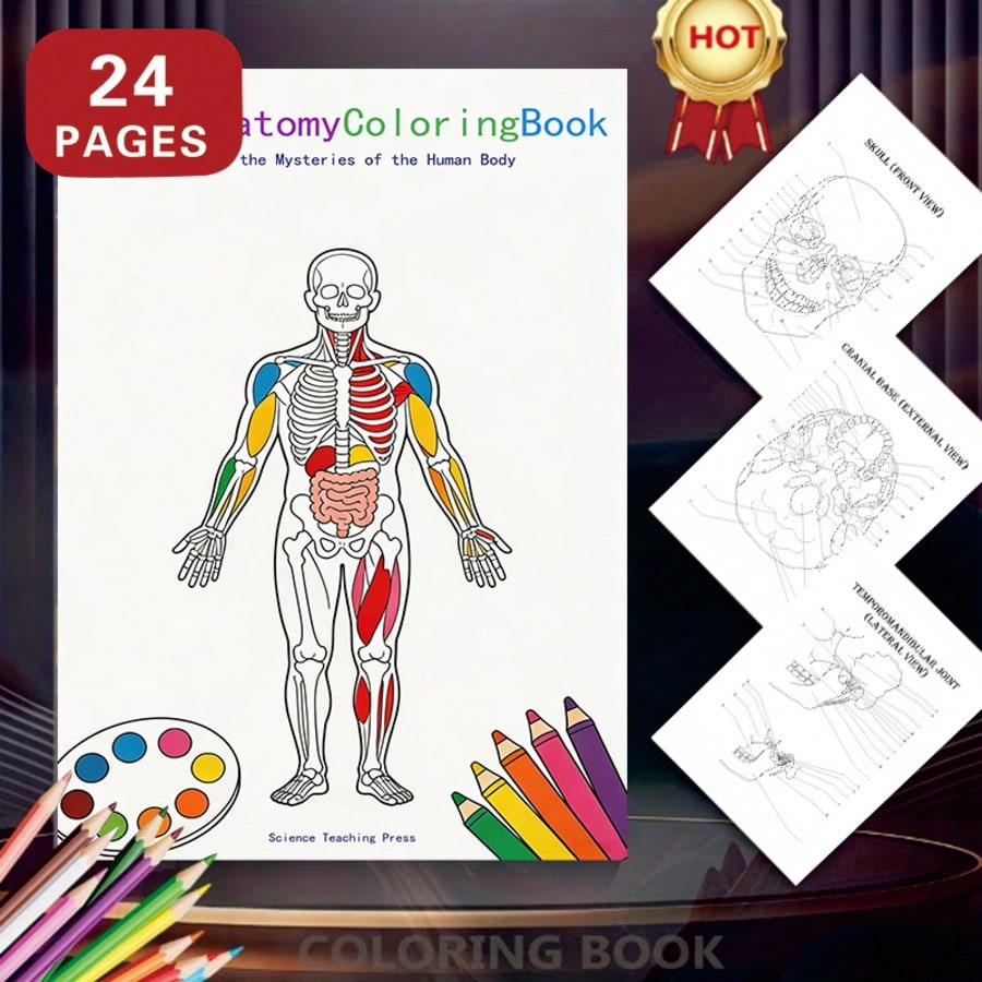 Pre-Owned Human Anatomy Coloring Book (Paperback) By Margaret Matt, Joe Ziemian