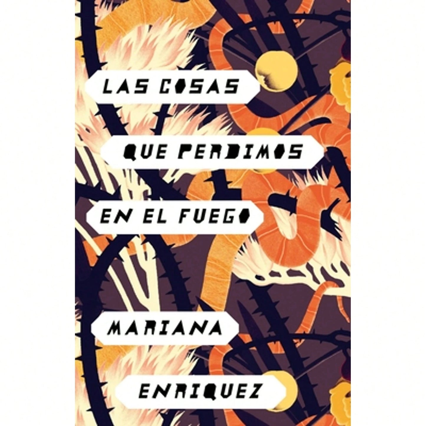 Pre-Owned Las Cosas Que Perdimos En El Fuego/ Things We Lost In The Fire: Things We Lost In The (Paperback) By Mariana Enriquez