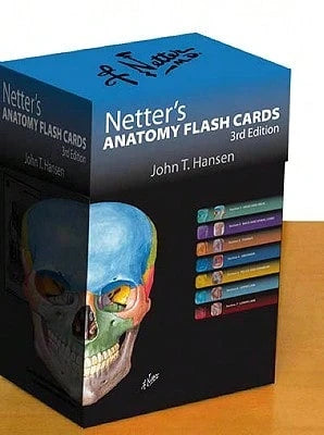 Pre-Owned Netter's Anatomy Flash Cards: With Online Student Consult Access (Paperback) By John T Hansen