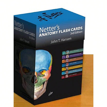 Pre-Owned Netter's Anatomy Flash Cards: With Online Student Consult Access (Paperback) By John T Hansen