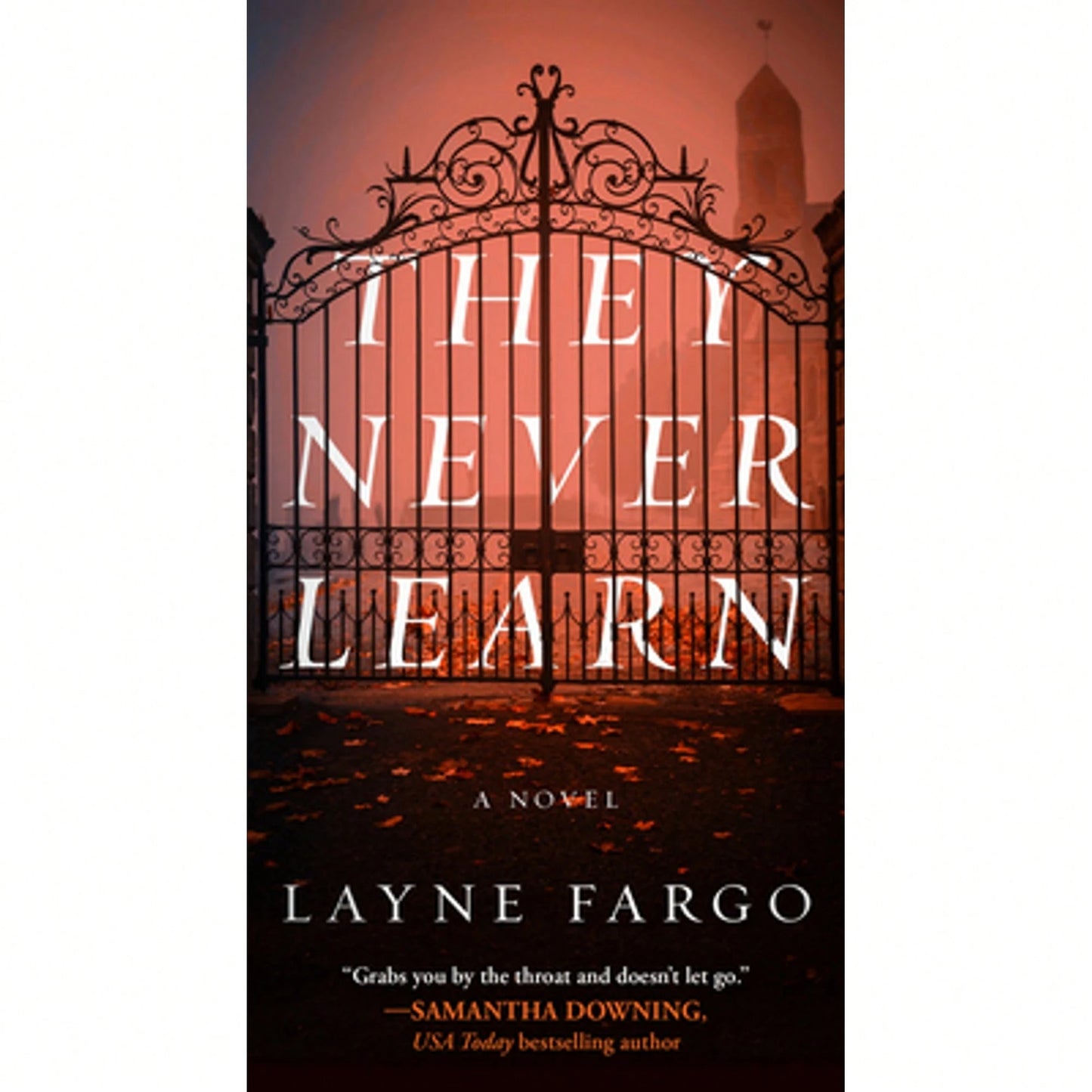Pre-Owned They Never Learn (Paperback) By Layne Fargo