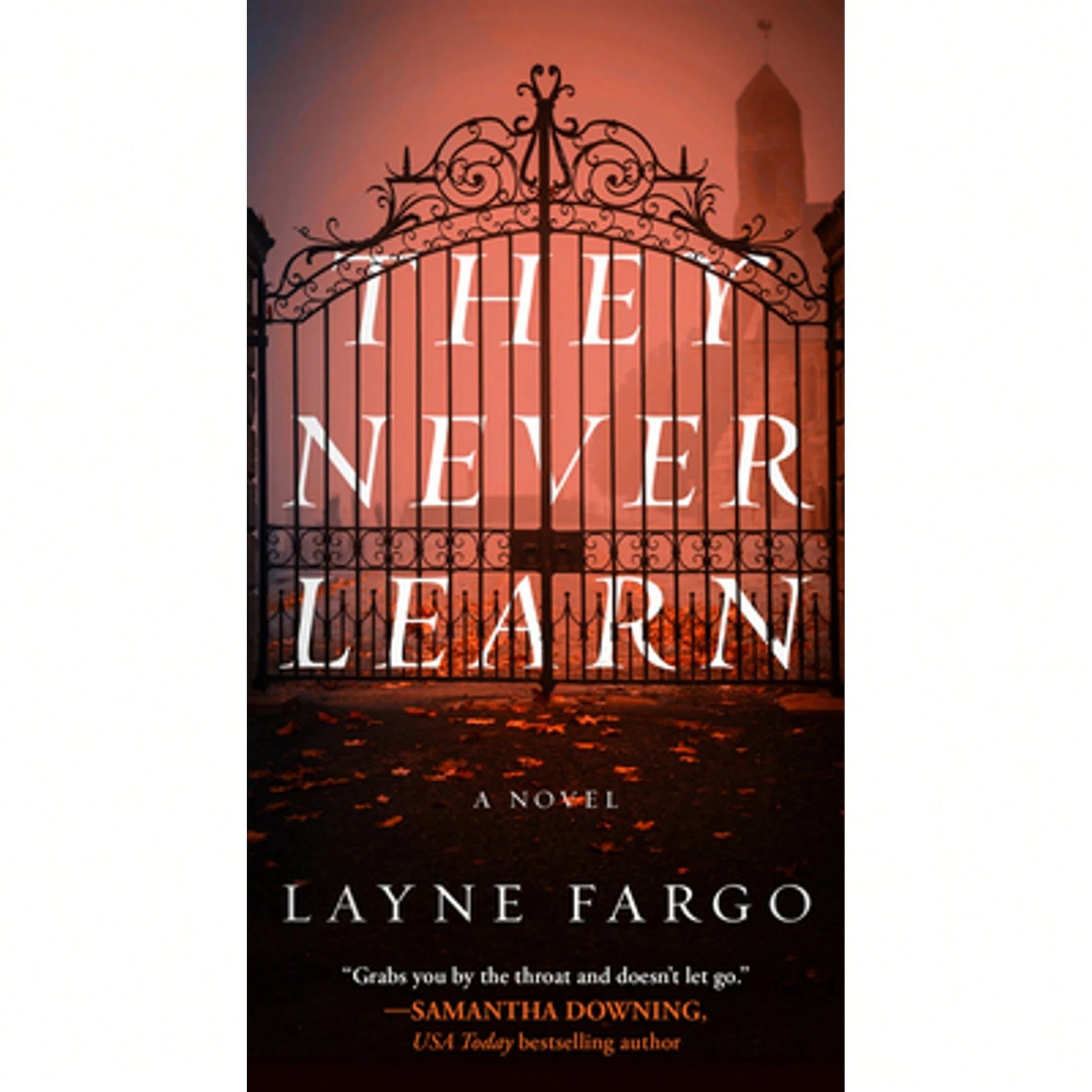 Pre-Owned They Never Learn (Paperback) By Layne Fargo