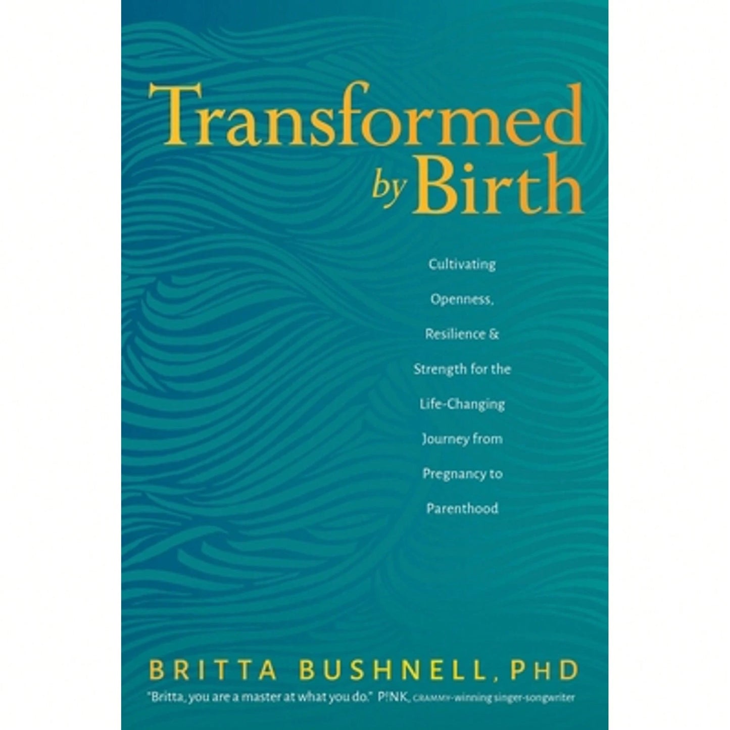 Pre-Owned Transformed By Birth: Cultivating Openness, Resilience, And Strength For The Life-Changing (Paperback) By Britta Bushnell