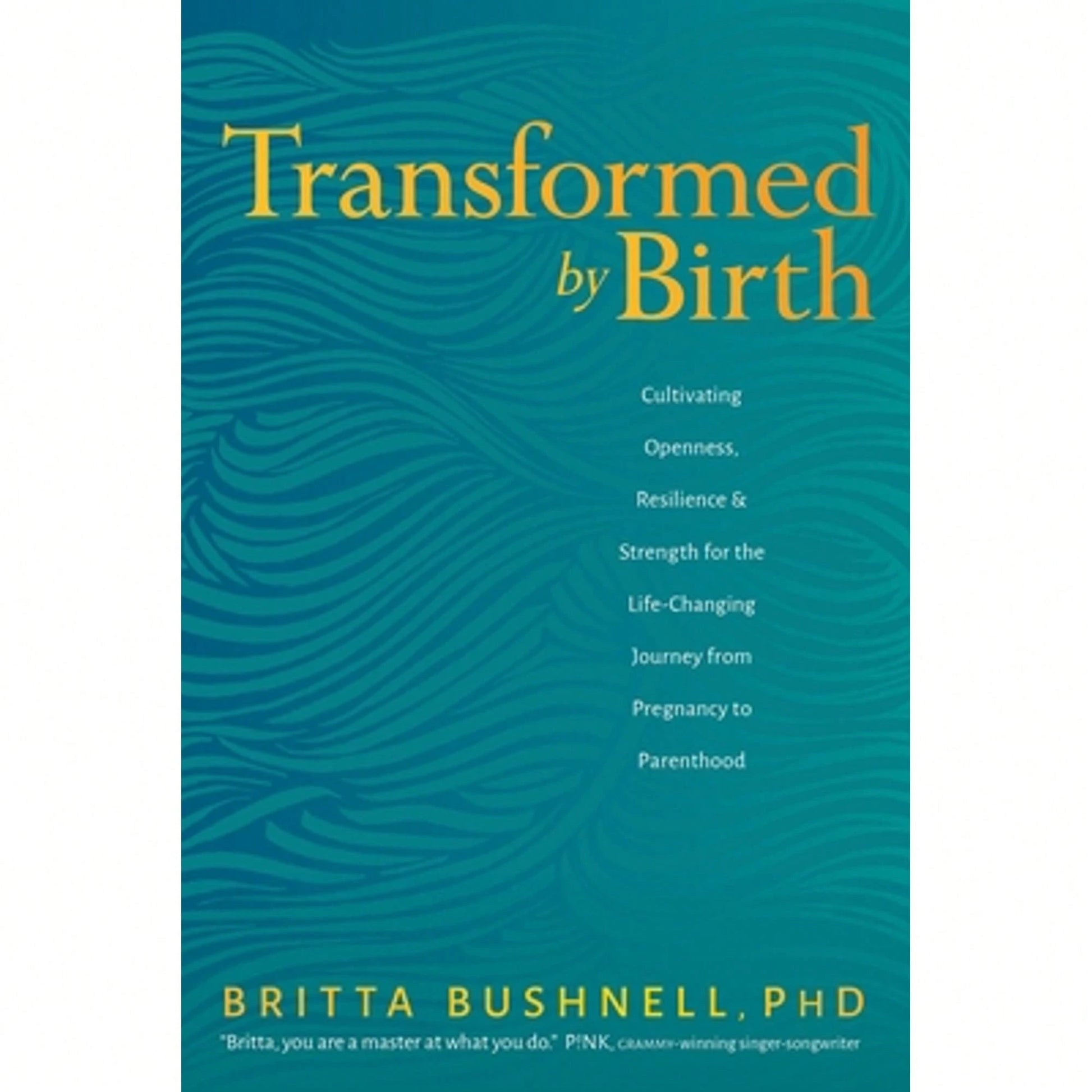 Pre-Owned Transformed By Birth: Cultivating Openness, Resilience, And Strength For The Life-Changing (Paperback) By Britta Bushnell