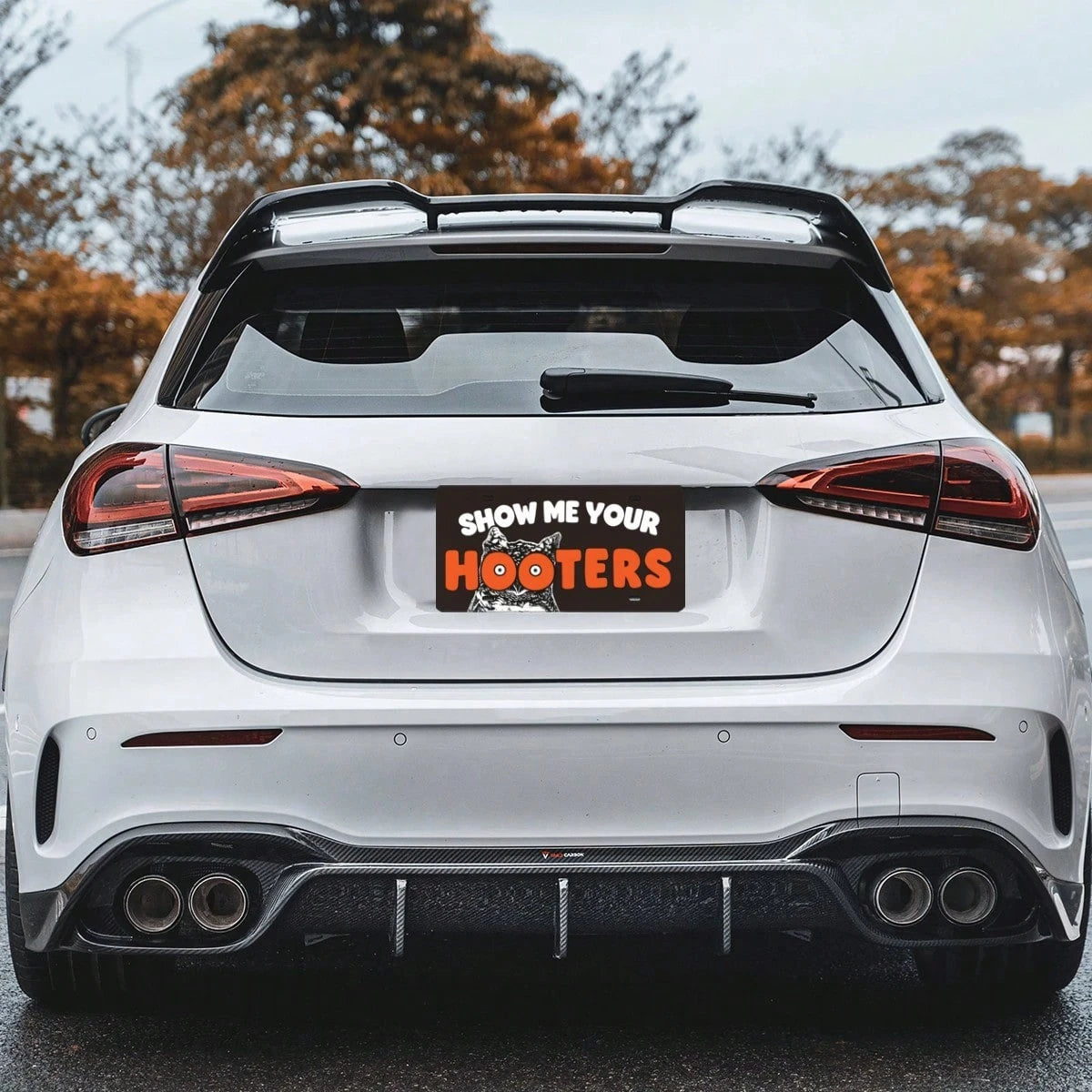 Show Me Your License Plate Cover, Aluminum 12x6 Inch Funny Novelty Car Decor