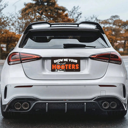 Show Me Your License Plate Cover, Aluminum 12x6 Inch Funny Novelty Car Decor
