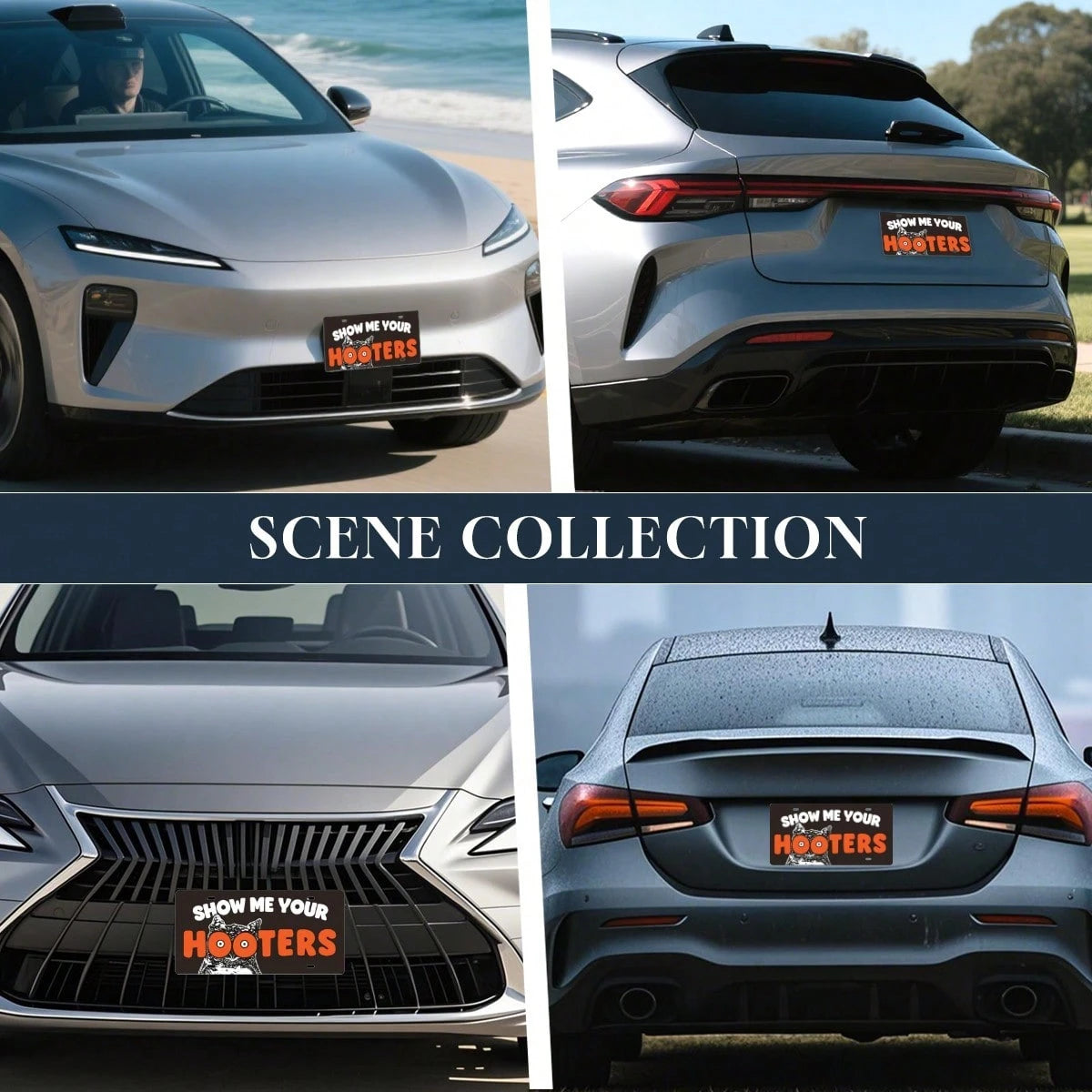 Show Me Your License Plate Cover, Aluminum 12x6 Inch Funny Novelty Car Decor