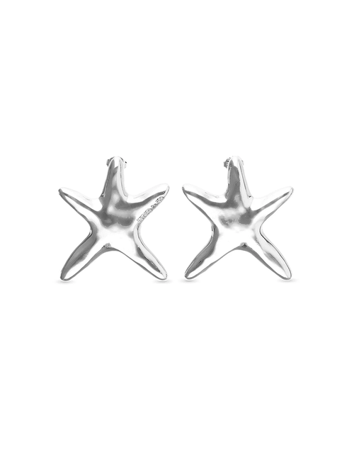 Starborn Earrings Silver