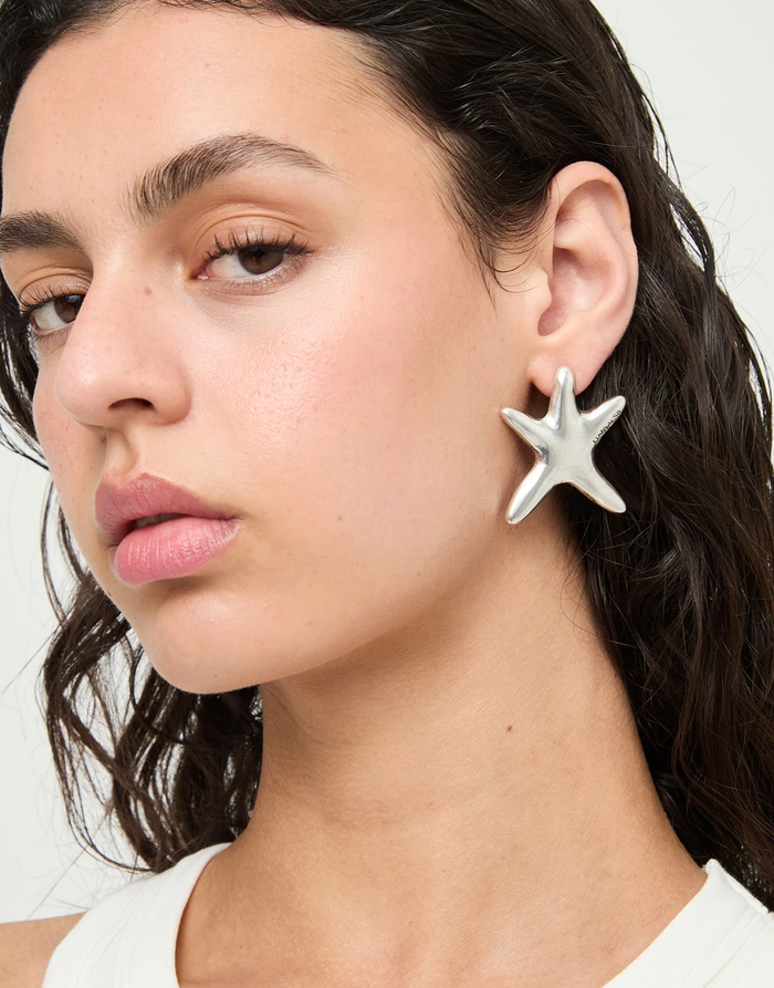 Starborn Earrings Silver