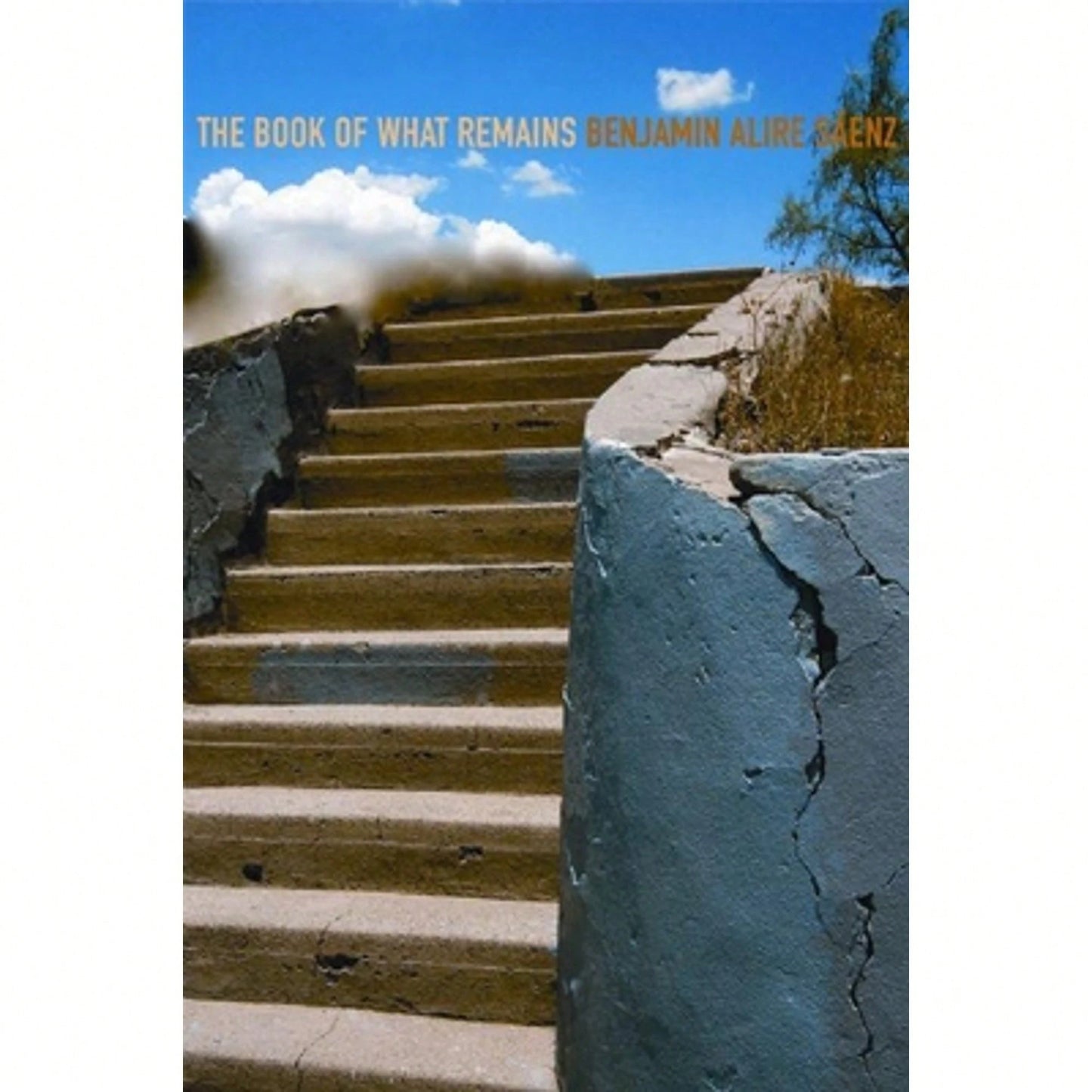 The Book Of What Remains (Paperback) By Benjamin Alire Saenz