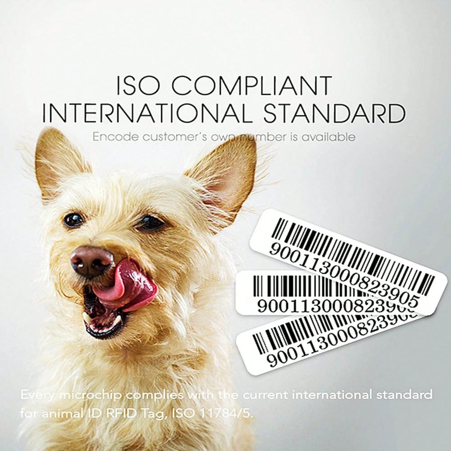 Universal Pet Microchip, 134.2kHz ISO11784/5 FDX-B Pet ID Tags, 15 Bit RFID Microchip Implant Kit For The Management And Tracking Of Animals (5PCS