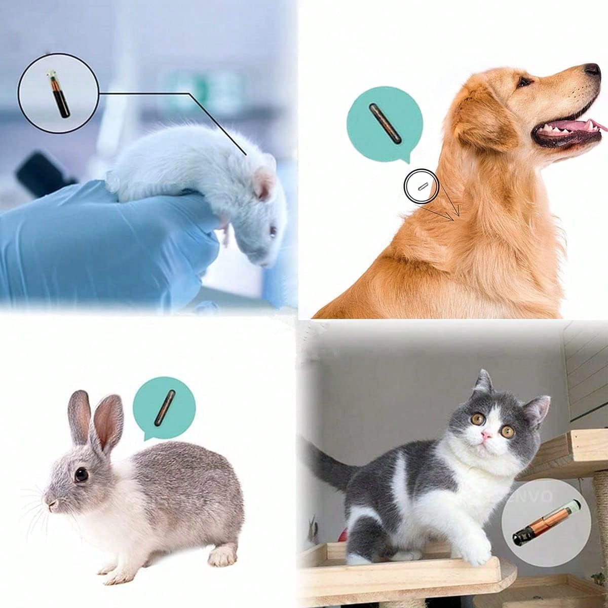 VENREA Universal Pet Microchip 134.2khz Registration Animal Implant Chip FDX-B Pet ID Microchip For The Management And Tracking Of Dog Cat Cow Pig Rabbit Pigeon Fish (1 Pack, 1.4x8mm)