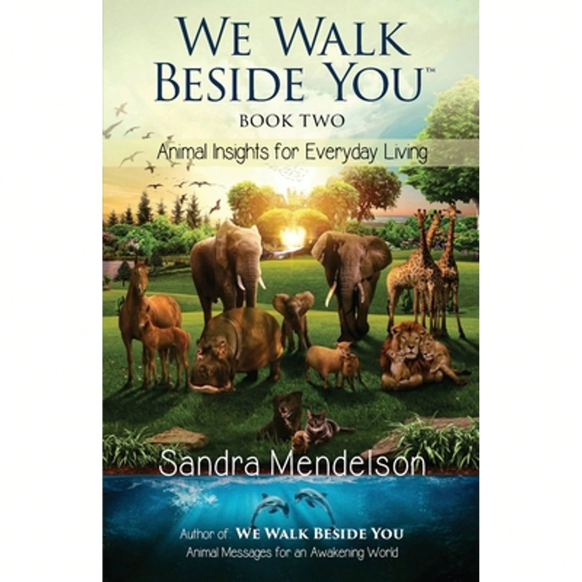 We Walk Beside You Book 2: Animal Insights For Everyday Living (Paperback) By Sandra Mendelson