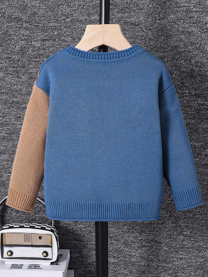 Young Boy Cartoon Bear Round Neck Long Sleeve Casual Sweater, Autumn Fall Winter